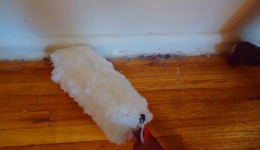 ???????????????????????????????