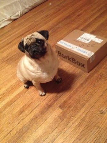 079f17cb-cf0f-490c-83f1-5f8ce6580856