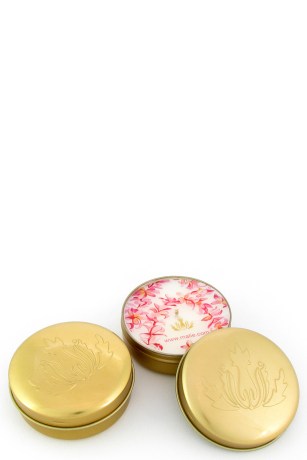 plumeria_soy_travel_candle__96026.1409560093.800.1200